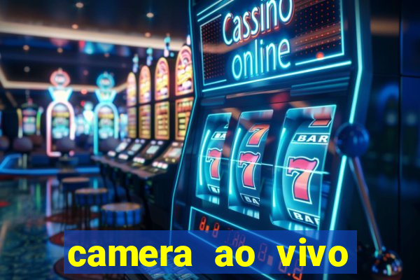 camera ao vivo terminal vila nova cachoeirinha